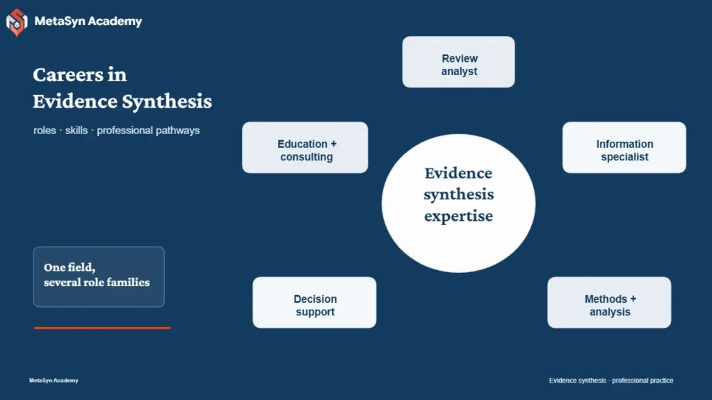 MetaSyn Academy visual mapping evidence-synthesis roles, competency families and professional pathways.